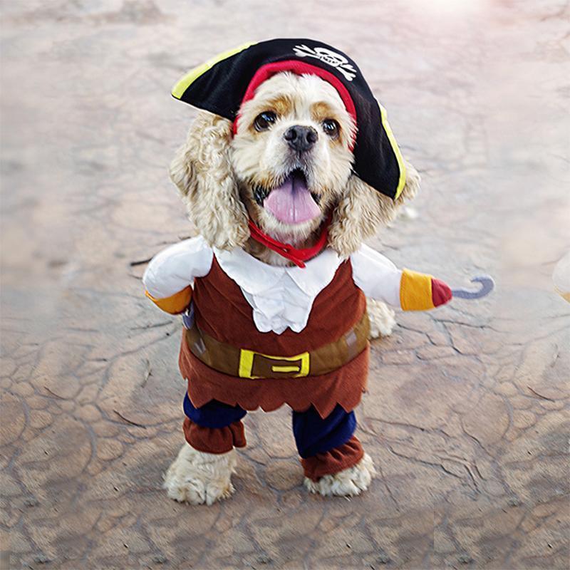 Sunsetime™ Funny Pet Costumes