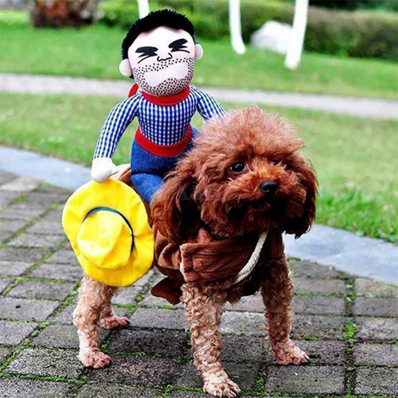 Sunsetime™ Funny Pet Costumes